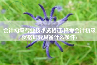 会计初级专业技术资格证(报考会计初级资格证要具备什么条件)