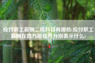 应付职工薪酬二级科目有哪些(应付职工薪酬在借方能贷方分别表示什么)