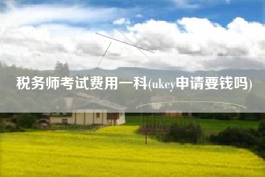 税务师考试费用一科(ukey申请要钱吗)