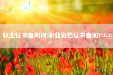 职业证书查询网(职业资格证书查询12333)