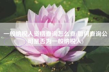 一般纳税人资格查询怎么查(如何查询公司是否为一般纳税人)
