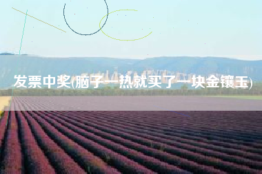 发票中奖(脑子一热就买了一块金镶玉)