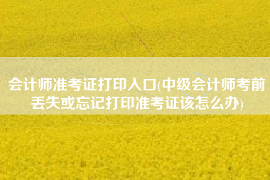 会计师准考证打印入口(中级会计师考前丢失或忘记打印准考证该怎么办)