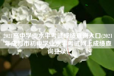 2021高中学业水平考试成绩查询入口(2021年成都市初中学业水平考试网上成绩查询登录)