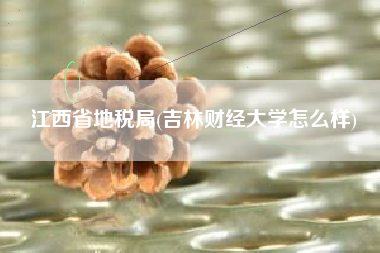 江西省地税局(吉林财经大学怎么样)