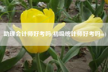 助理会计师好考吗(初级统计师好考吗m)