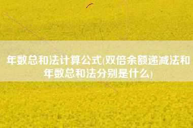 年数总和法计算公式(双倍余额递减法和年数总和法分别是什么)