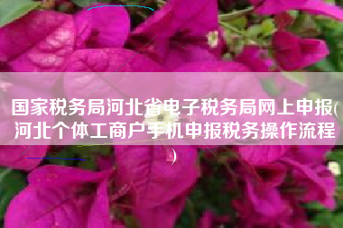 国家税务局河北省电子税务局网上申报(河北个体工商户手机申报税务操作流程
)