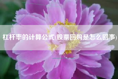 杠杆率的计算公式(股票回购是怎么回事)