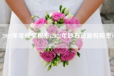 2022年年终奖税率(2022年砂石资源税税率)