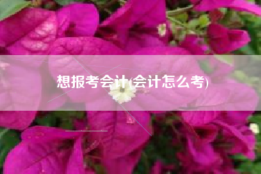 想报考会计(会计怎么考)
