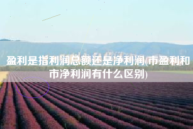 盈利是指利润总额还是净利润(市盈利和市净利润有什么区别)