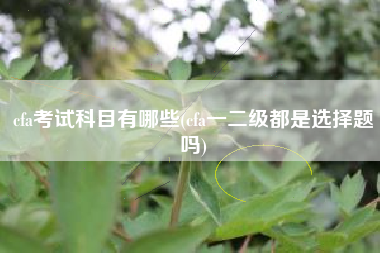 cfa考试科目有哪些(cfa一二级都是选择题吗)