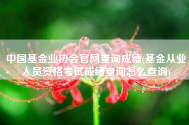 中国基金业协会官网查询成绩(基金从业人员资格考试成绩查询怎么查询)