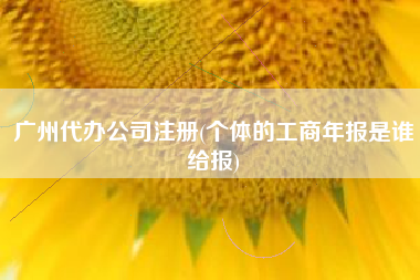 广州代办公司注册(个体的工商年报是谁给报)