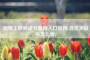 初级工程师证书查询入口官网(省优大证书怎么查)