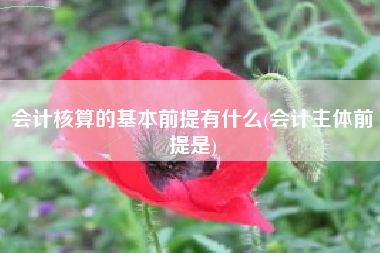 会计核算的基本前提有什么(会计主体前提是)