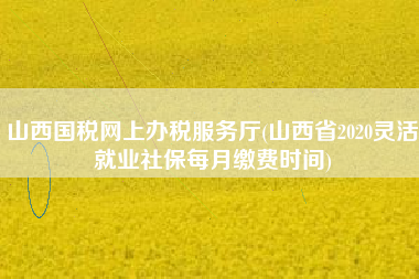 山西国税网上办税服务厅(山西省2020灵活就业社保每月缴费时间)