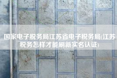 国家电子税务局江苏省电子税务局(江苏税务怎样才能刷新实名认证)