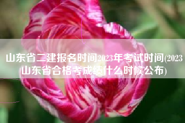 山东省二建报名时间2023年考试时间(2023山东省合格考成绩什么时候公布)