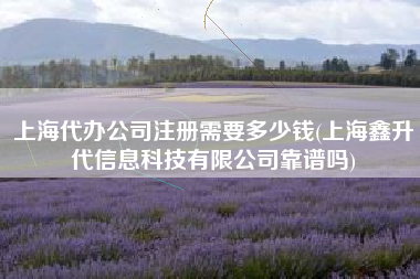 上海代办公司注册需要多少钱(上海鑫升代信息科技有限公司靠谱吗)