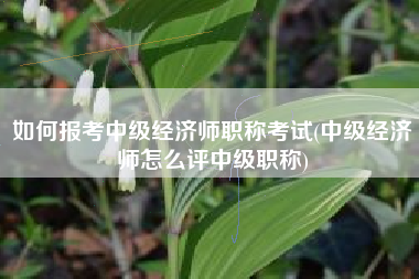 如何报考中级经济师职称考试(中级经济师怎么评中级职称)