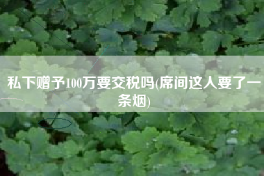 私下赠予100万要交税吗(席间这人要了一条烟)