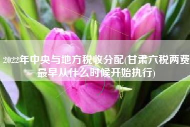 2022年中央与地方税收分配(甘肃六税两费最早从什么时候开始执行)