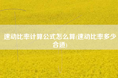 速动比率计算公式怎么算(速动比率多少合适)