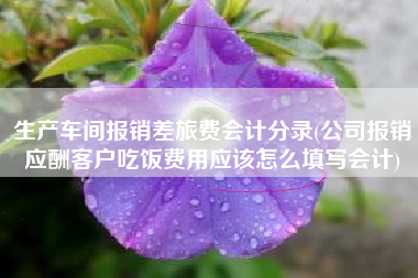 生产车间报销差旅费会计分录(公司报销应酬客户吃饭费用应该怎么填写会计)