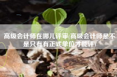 高级会计师在哪儿评审(高级会计师是不是只有有正式单位才能评)