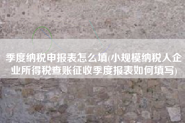 季度纳税申报表怎么填(小规模纳税人企业所得税查账征收季度报表如何填写)