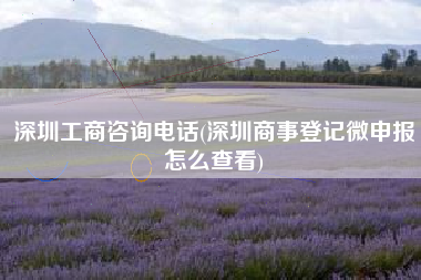 深圳工商咨询电话(深圳商事登记微申报怎么查看)