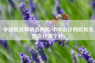中国税务师协会网校(中华会计网校和东奥会计哪个好)