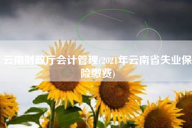 云南财政厅会计管理(2021年云南省失业保险缴费)
