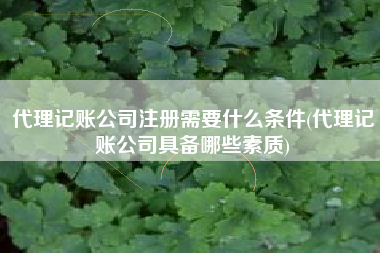 代理记账公司注册需要什么条件(代理记账公司具备哪些素质)