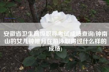 安徽省卫生高级职称考试成绩查询(钟南山的女儿钟帷月在游泳取得过什么样的成绩)