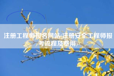 注册工程师报名网站(注册安全工程师报考流程及费用)