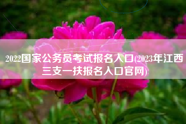 2022国家公务员考试报名入口(2023年江西三支一扶报名入口官网)