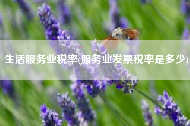 生活服务业税率(服务业发票税率是多少)