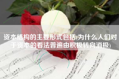 资本结构的主要形式包括(为什么人们对于资本的看法普遍由积极转向消极)
