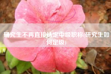 研究生不再直接认定中级职称(研究生如何定级)