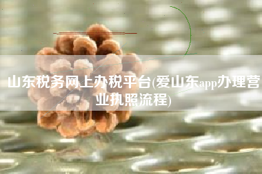 山东税务网上办税平台(爱山东app办理营业执照流程)