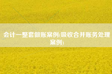 会计一整套做账案例(吸收合并账务处理案例)