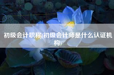 初级会计职称(初级会计师是什么认证机构)