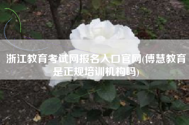 浙江教育考试网报名入口官网(傅慧教育是正规培训机构吗)