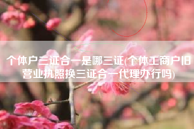 个体户三证合一是哪三证(个体工商户旧营业执照换三证合一代理办行吗)