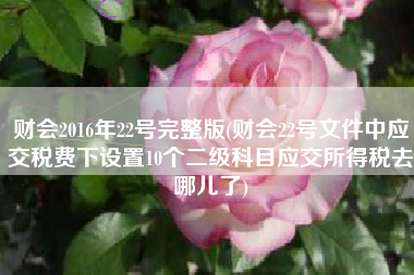 财会2016年22号完整版(财会22号文件中应交税费下设置10个二级科目应交所得税去哪儿了)