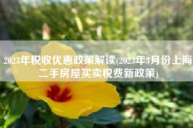 详细阅读:2023年税收优惠政策解读(2023年3月份上海二手房屋买卖税费新政策) 2023年税收优惠政策解读(2023年3月份上海二手房屋买卖税费新政策)