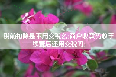 税前扣除是不用交税么(商户收款码收手续费后还用交税吗)
